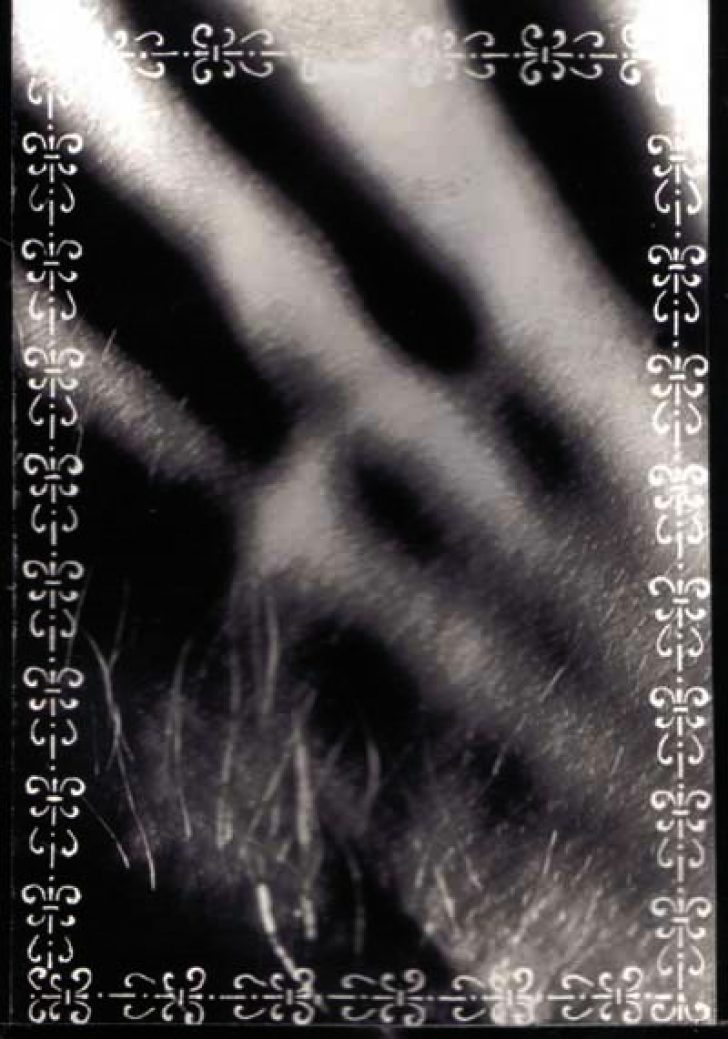 craniophoto03